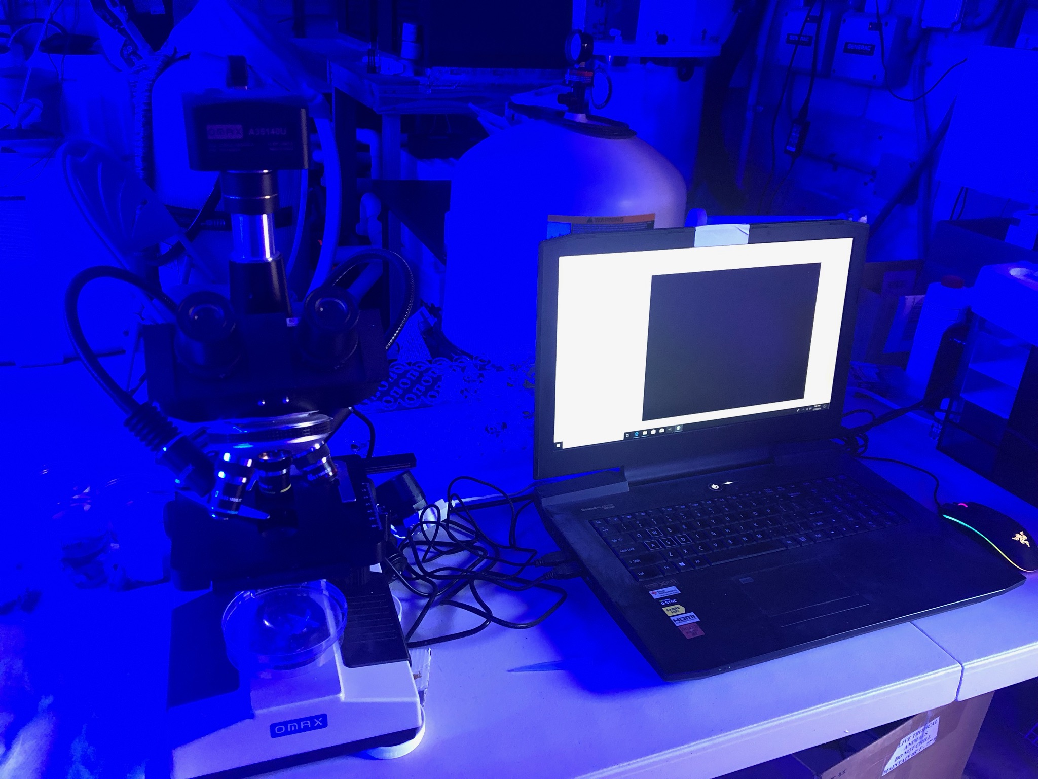 Microscopic Diagnosis Coral RTN